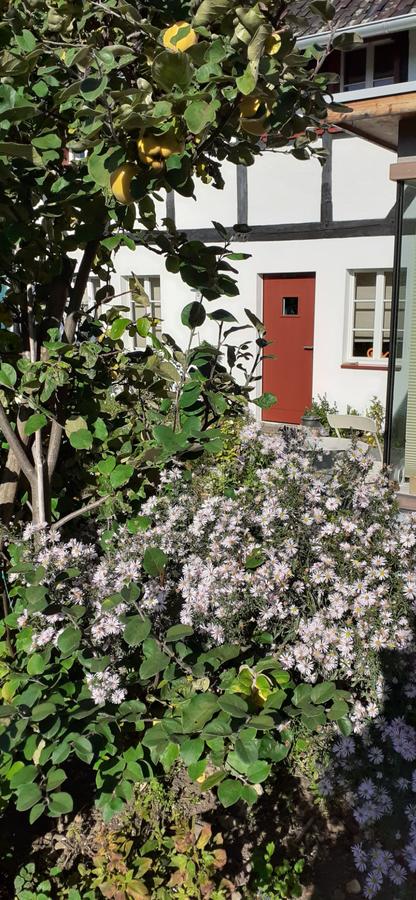 Eingang mit blühendem Garten